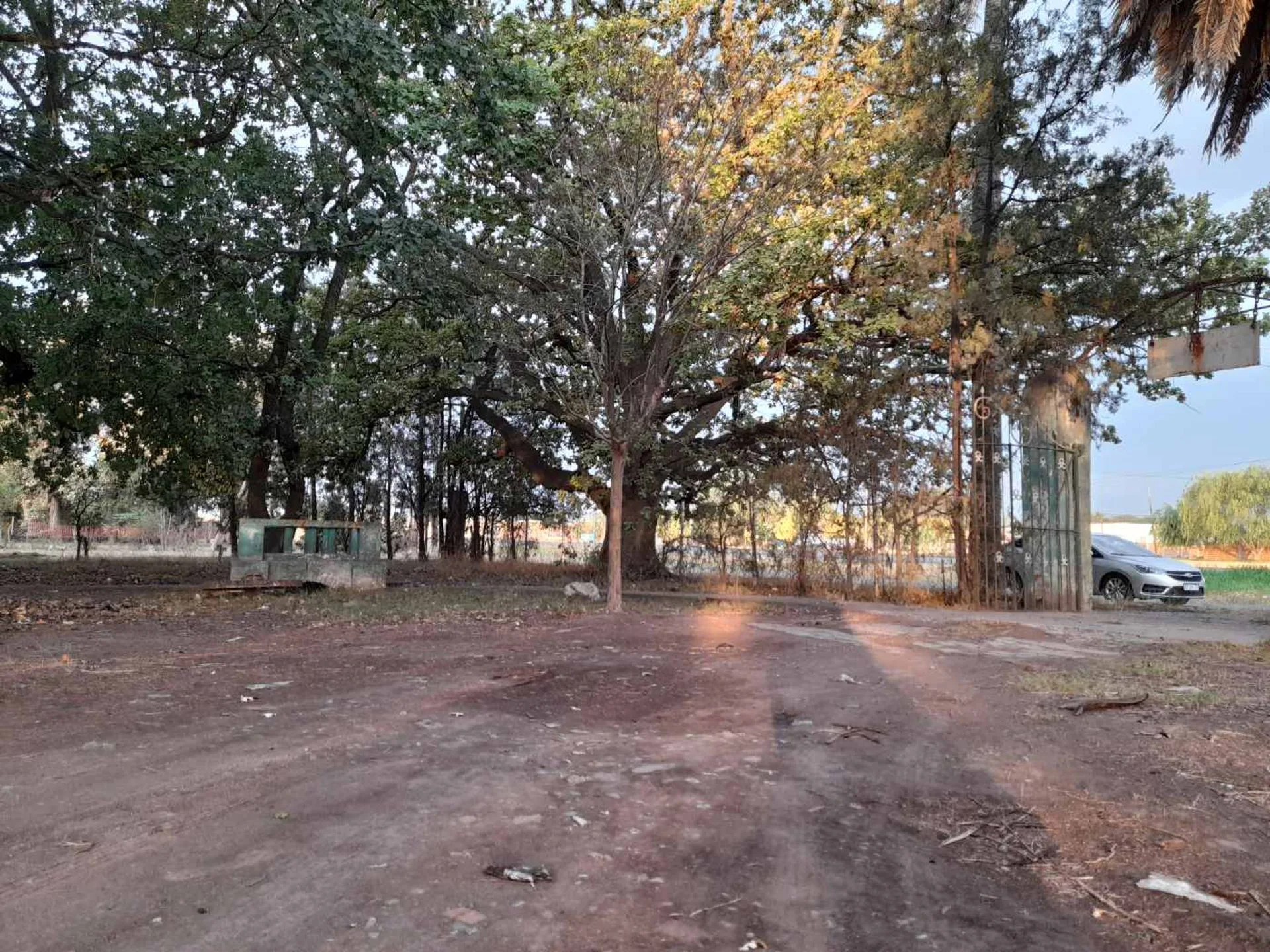 Excelente terreno con añeja forestación foto 2