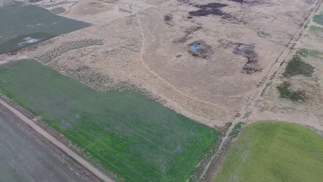 CAMPO MIXTO 131 HECTAREAS  SAN EDUARDO