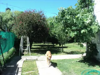 Hermosa Casa en Barrio Zapiola, con cercanía a Acceso Oeste foto 5