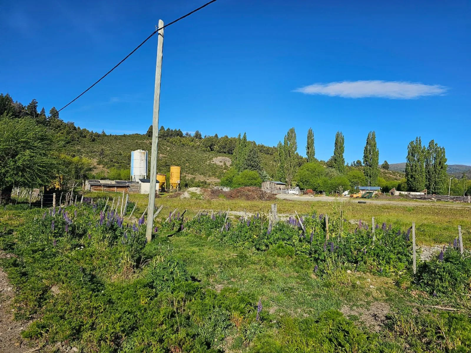 LOTE EN CHOLILA PROVINCIA DEL CHUBUT foto 3