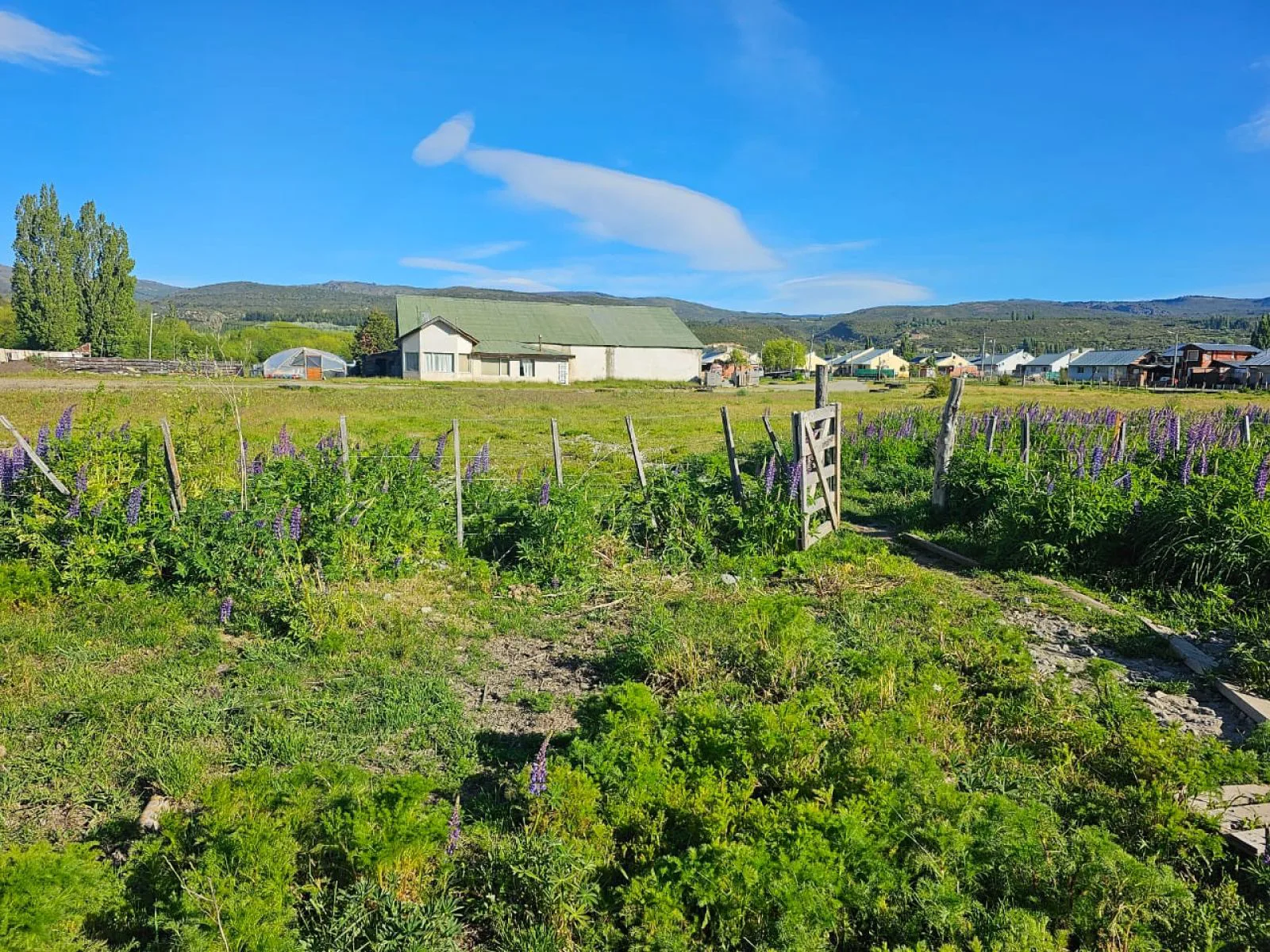 LOTE EN CHOLILA PROVINCIA DEL CHUBUT foto 4