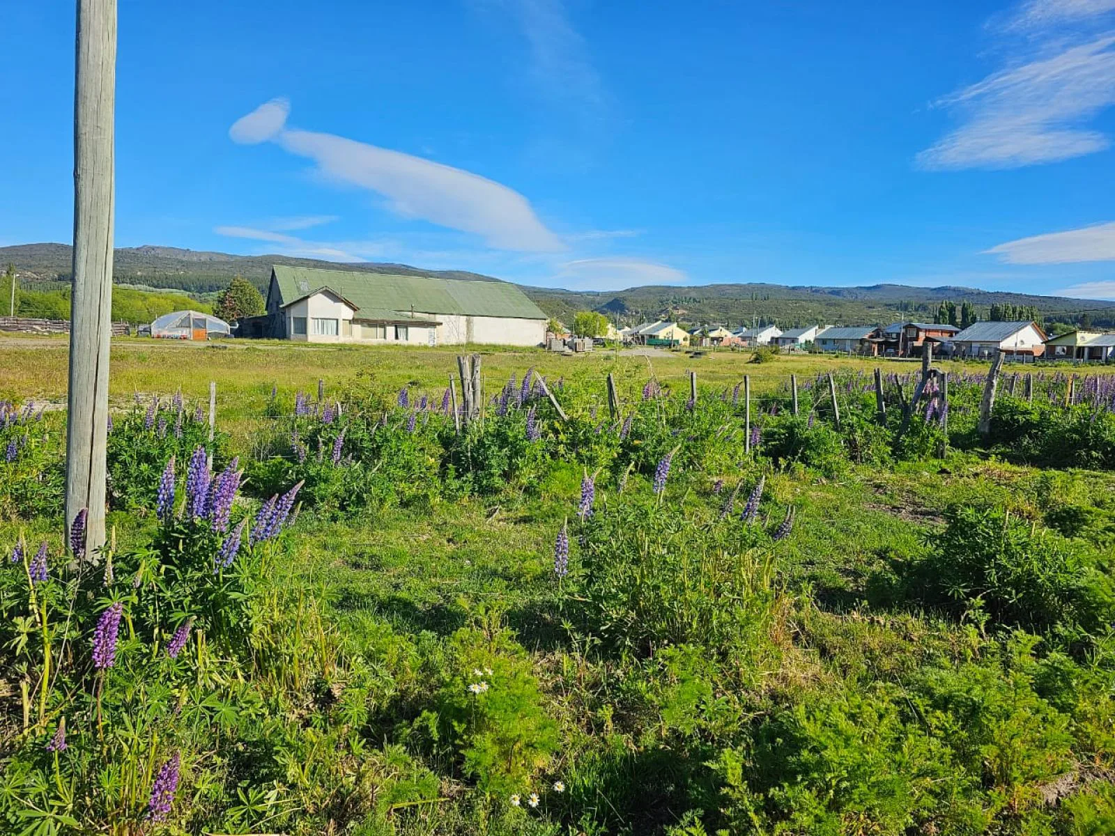 LOTE EN CHOLILA PROVINCIA DEL CHUBUT foto 5