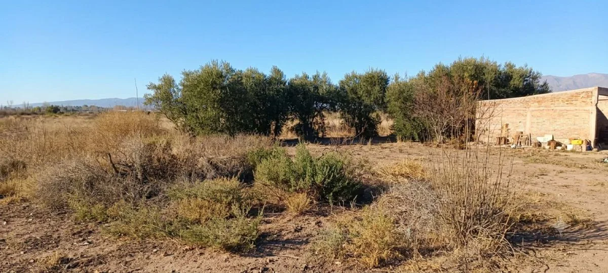 Venta Terreno Inculto San Martin con pozo foto 2