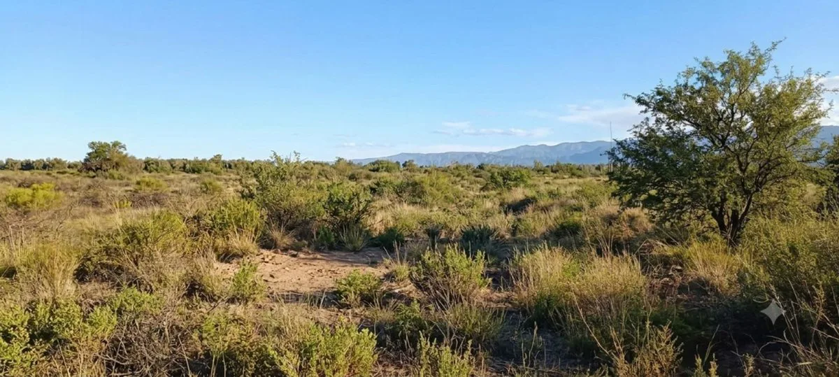 Venta Terreno Inculto San Martin con pozo foto 3