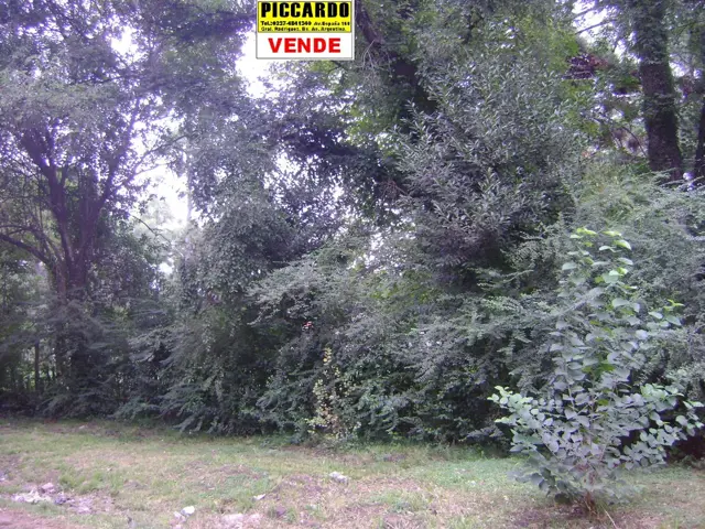 Dos Lotes Terrenos en venta B Villa Vengochea Gral Rodriguez Piccardo.