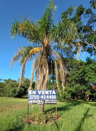 Venta de Casa Quinta en Oberá, Misiones 4700m² sobre Ruta 103 foto 4