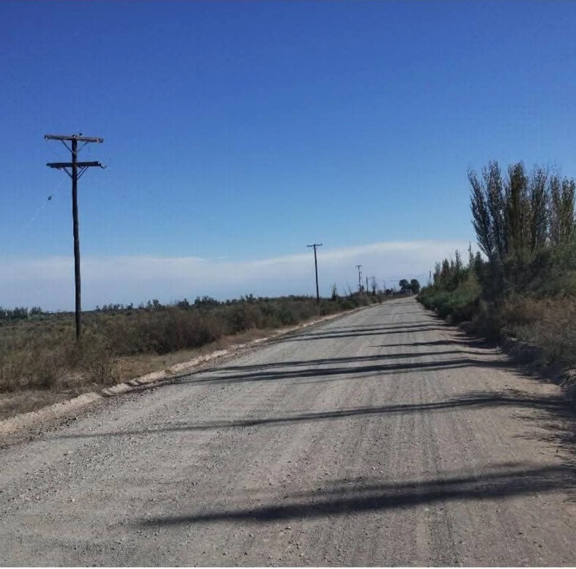 VENTA DE TERRENO 9998 M2, SAN MARTIN foto 2