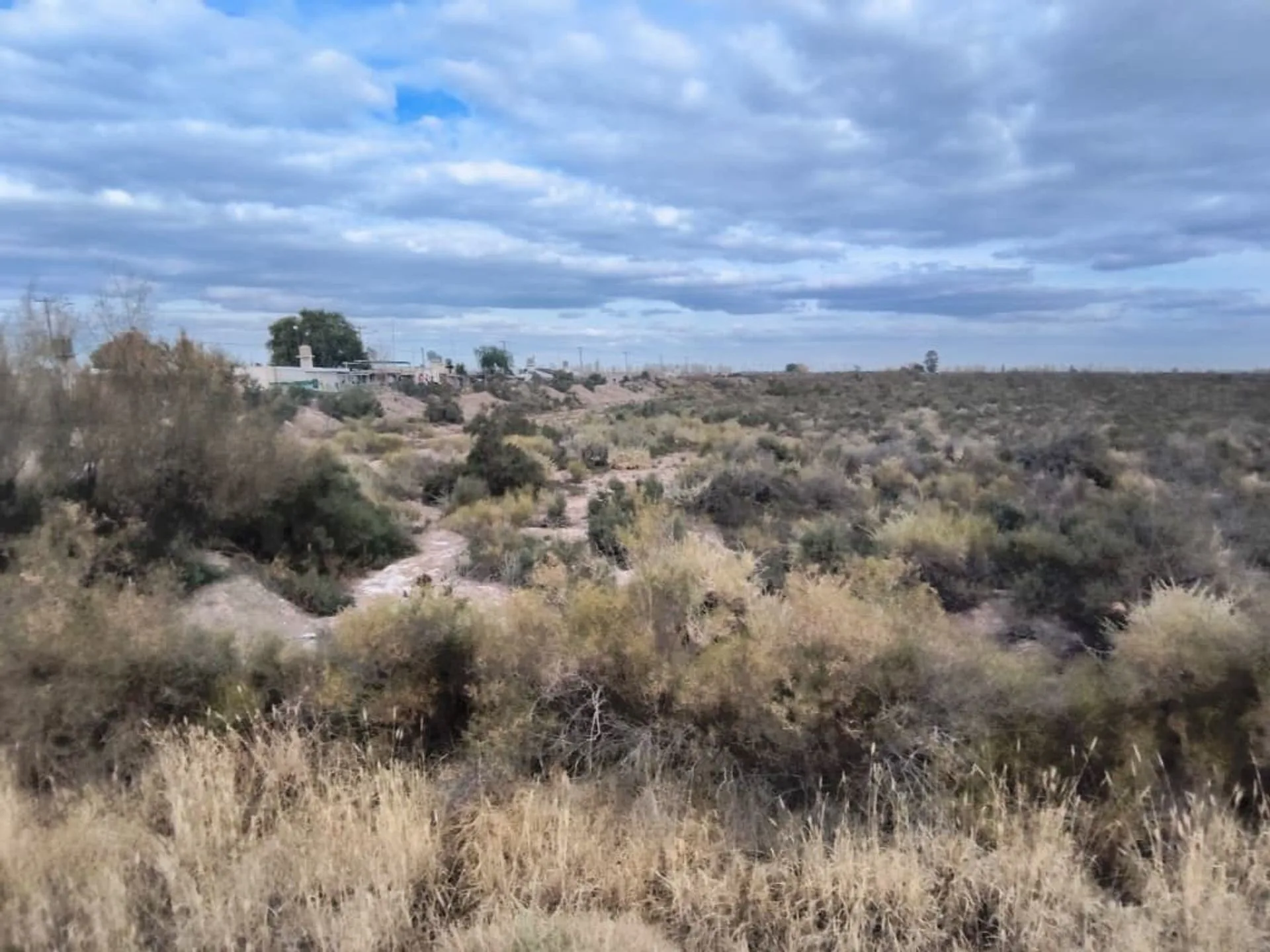 VENTA DE TERRENO 9998 M2, SAN MARTIN foto 3