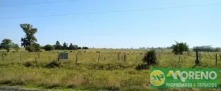 Hermos lote de 4,25 has zona Termas Villa Elisa, 138 mts de frente foto 2