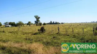 Hermos lote de 4,25 has zona Termas Villa Elisa, 138 mts de frente foto 3
