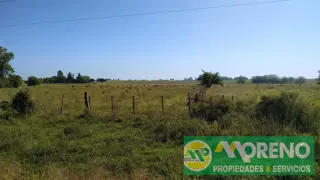Hermos lote de 4,25 has zona Termas Villa Elisa, 138 mts de frente foto 4