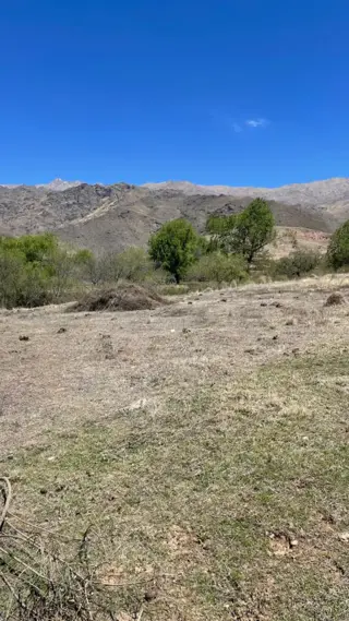 EN VENTA LOTE DE 1985 M2 EN EL RODEO TAFI DEL VALLE foto 5