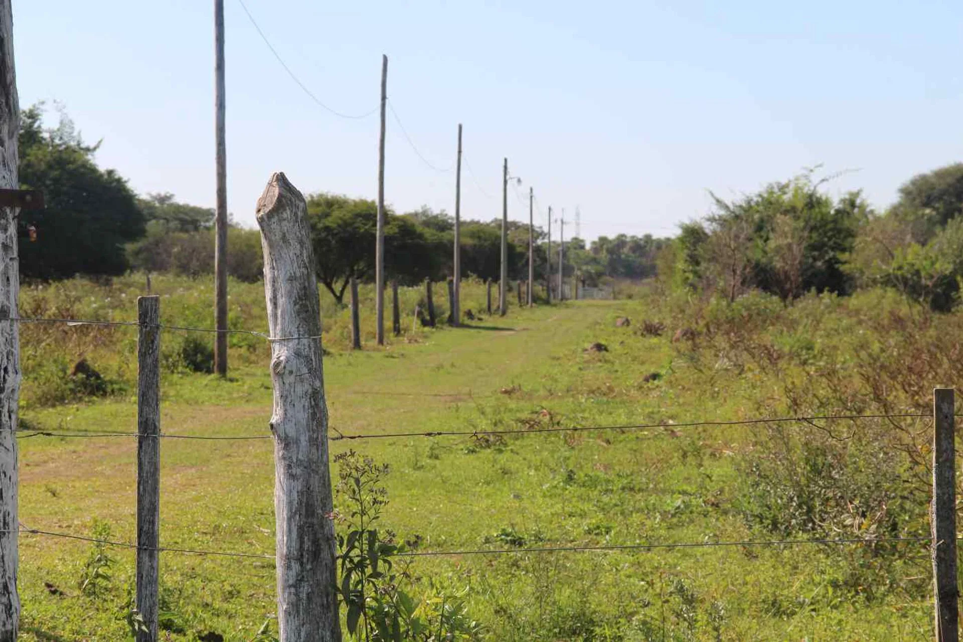 Lote-Terreno en venta en Resistencia 5.000 m² foto 4