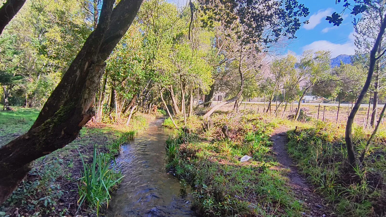 (KT005) Lotes en Lago Puelo -Loteo Terrazas del Blanco- Sobre ruta 16 foto 4