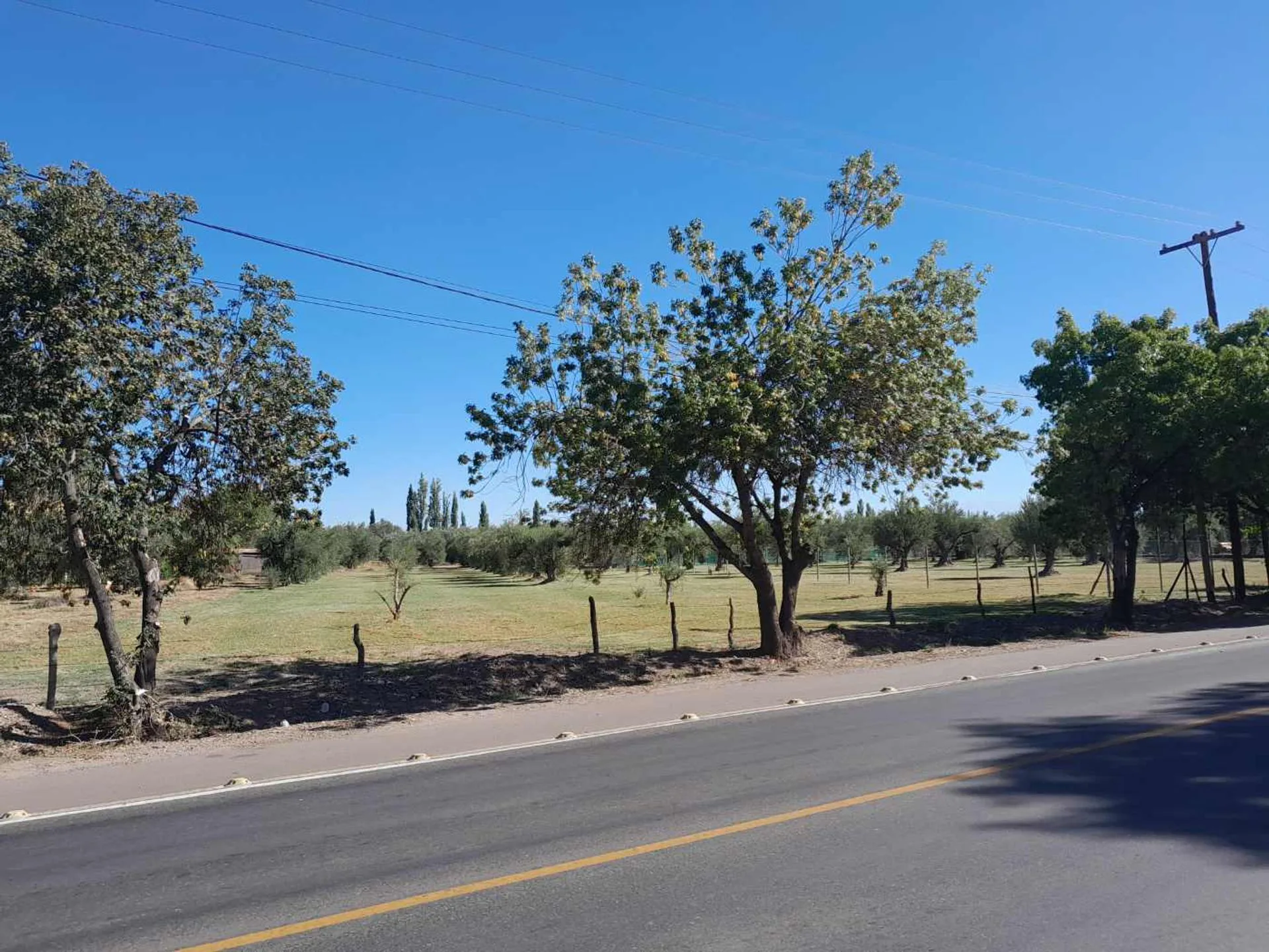 Terreno comercial en vental Bª Olivos de Furlotti foto 2