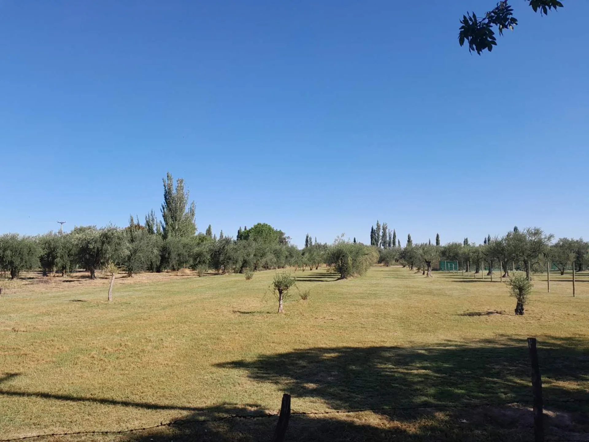 Terreno comercial en vental Bª Olivos de Furlotti foto 4