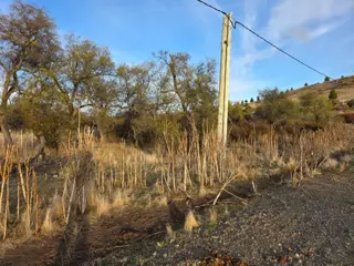 TERRENO EN ENTORNO NATURAL CON ENERGÍA ELÉCTRICA foto 2