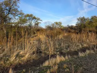 TERRENO EN ENTORNO NATURAL CON ENERGÍA ELÉCTRICA foto 3