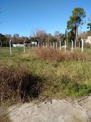 Lote De 547 M2 Con Mejoras- Francisco Alvarez - (ref.2301) foto 1