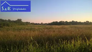 Se vende campo zona Mesón de Fierro- Chaco foto 4