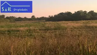 Se vende campo zona Mesón de Fierro- Chaco foto 5