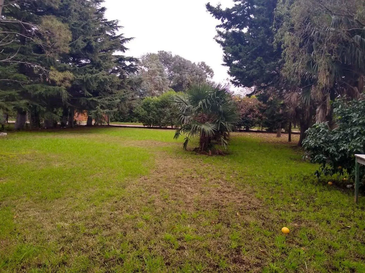 Venta Casa 3 amb. con parque de 3.000 m² y quincho foto 2