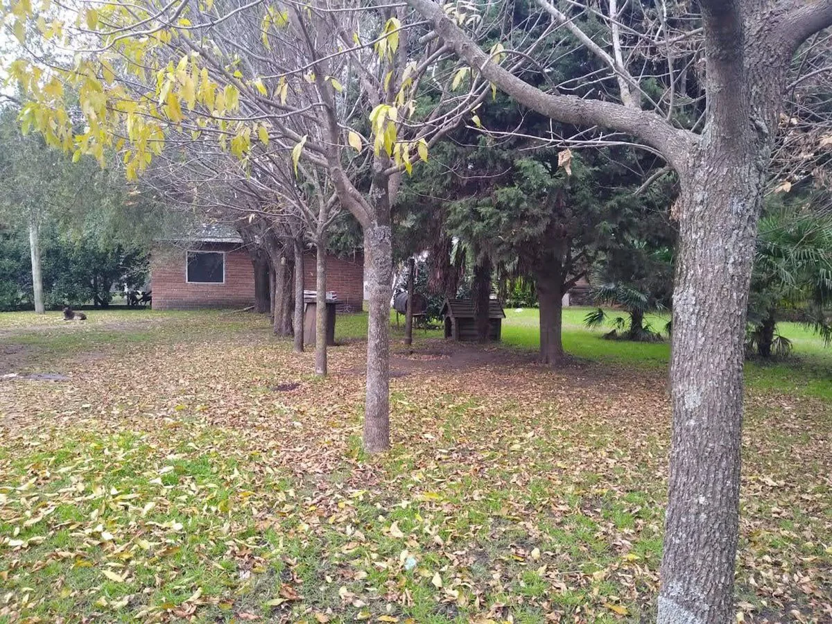 Venta Casa 3 amb. con parque de 3.000 m² y quincho foto 3