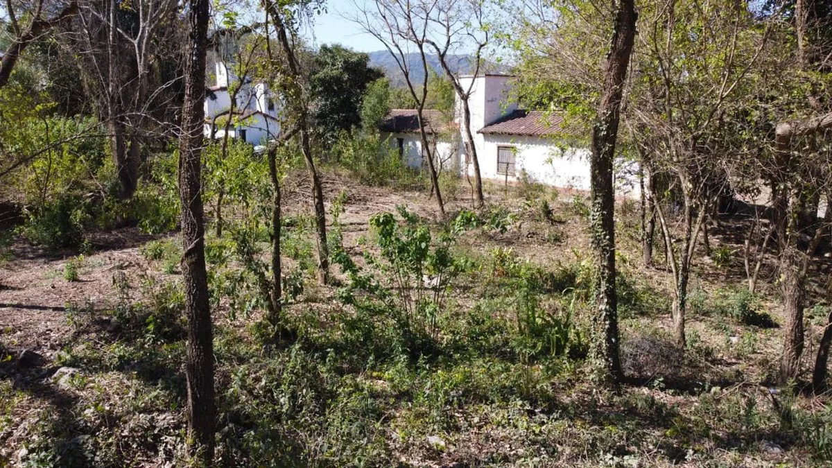 VENTA TERRENO ESQUINA VILLA SAN LORENZO 1246 M2 foto 2