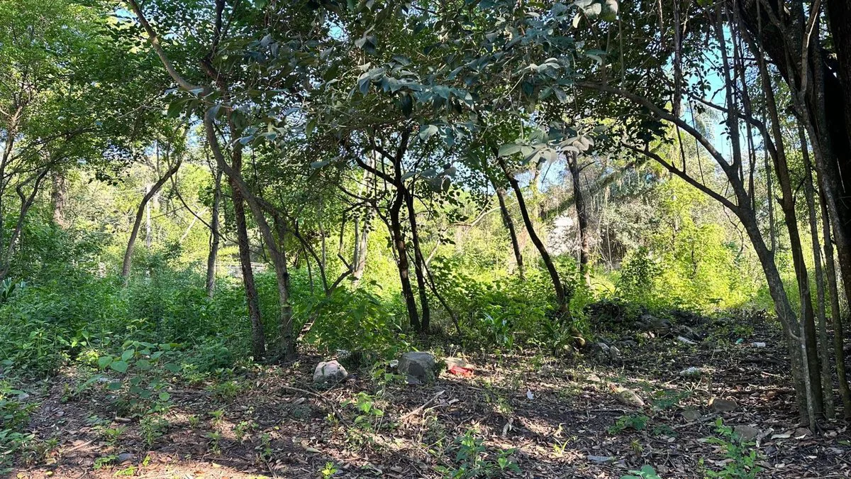 VENTA TERRENO ESQUINA VILLA SAN LORENZO 1246 M2 foto 4