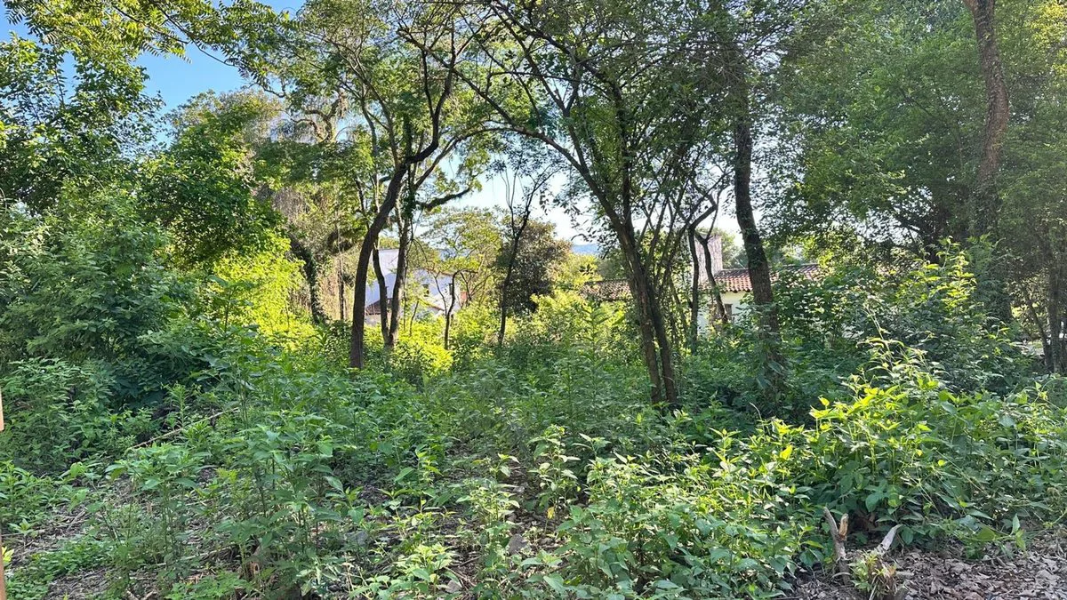 VENTA TERRENO ESQUINA VILLA SAN LORENZO 1246 M2 foto 5