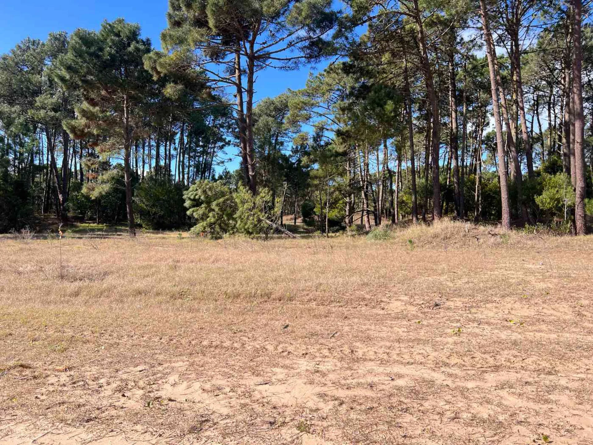 LOTE EN VENTA BARRIO BOSQUES PINAMAR NORTE foto 4