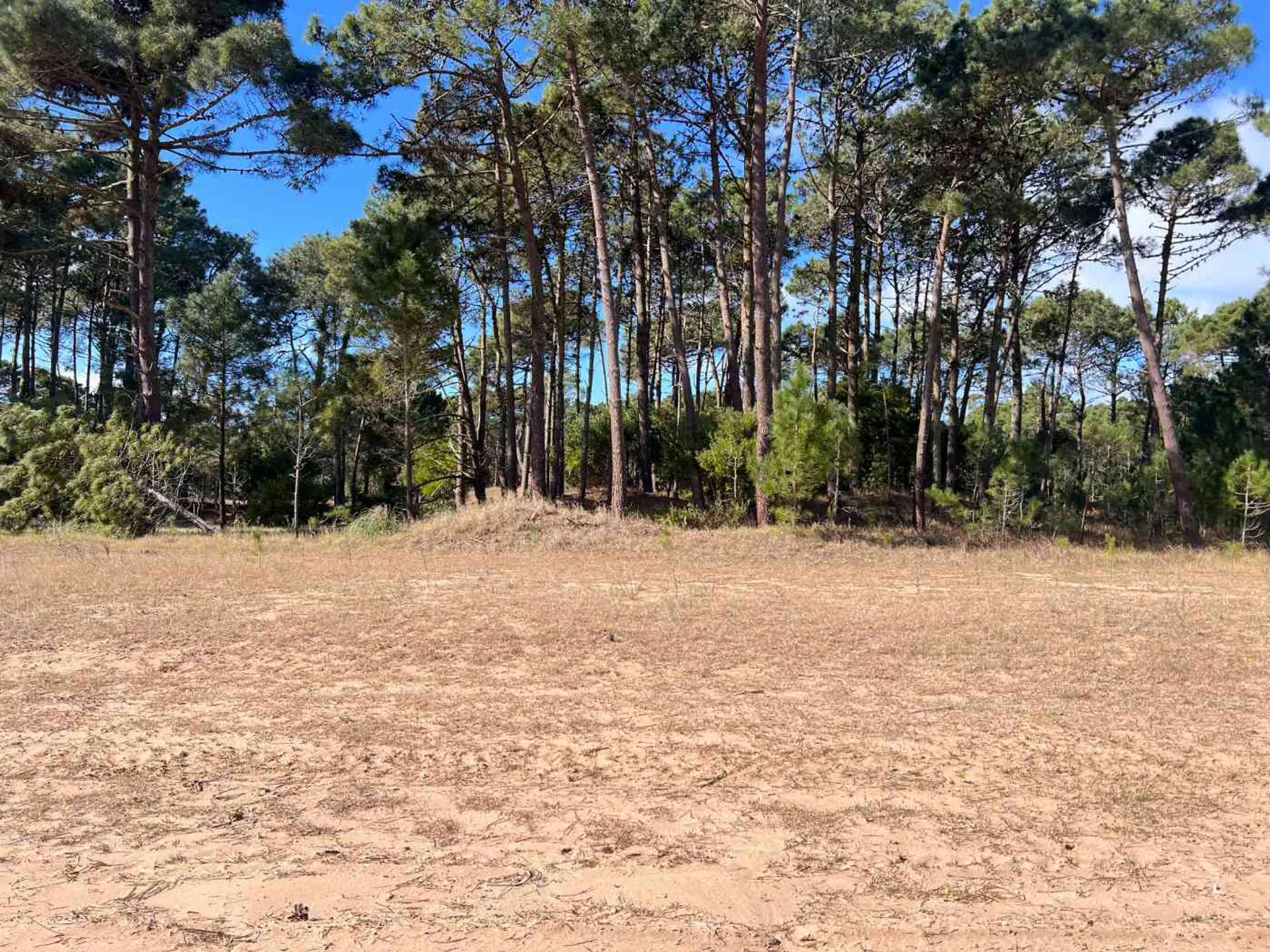 LOTE EN VENTA BARRIO BOSQUES PINAMAR NORTE foto 5