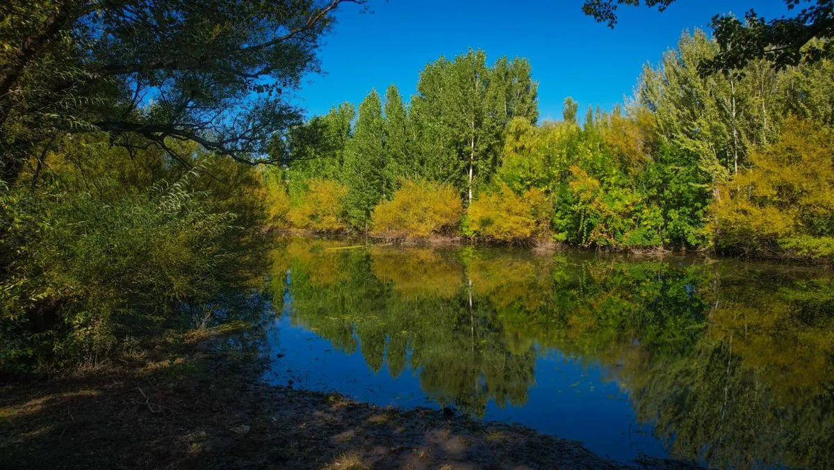 LA RESERVA / Barrio Botánico.