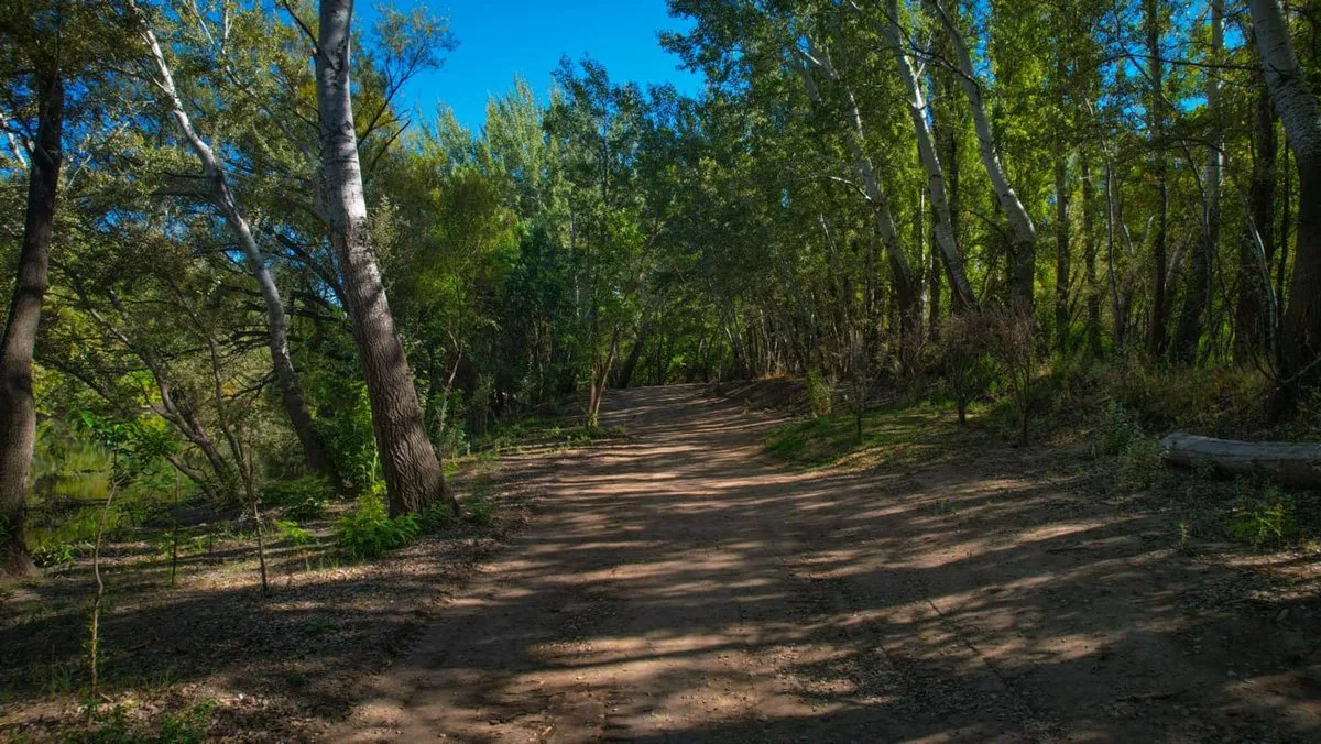 LA RESERVA / Barrio Botánico. foto 4