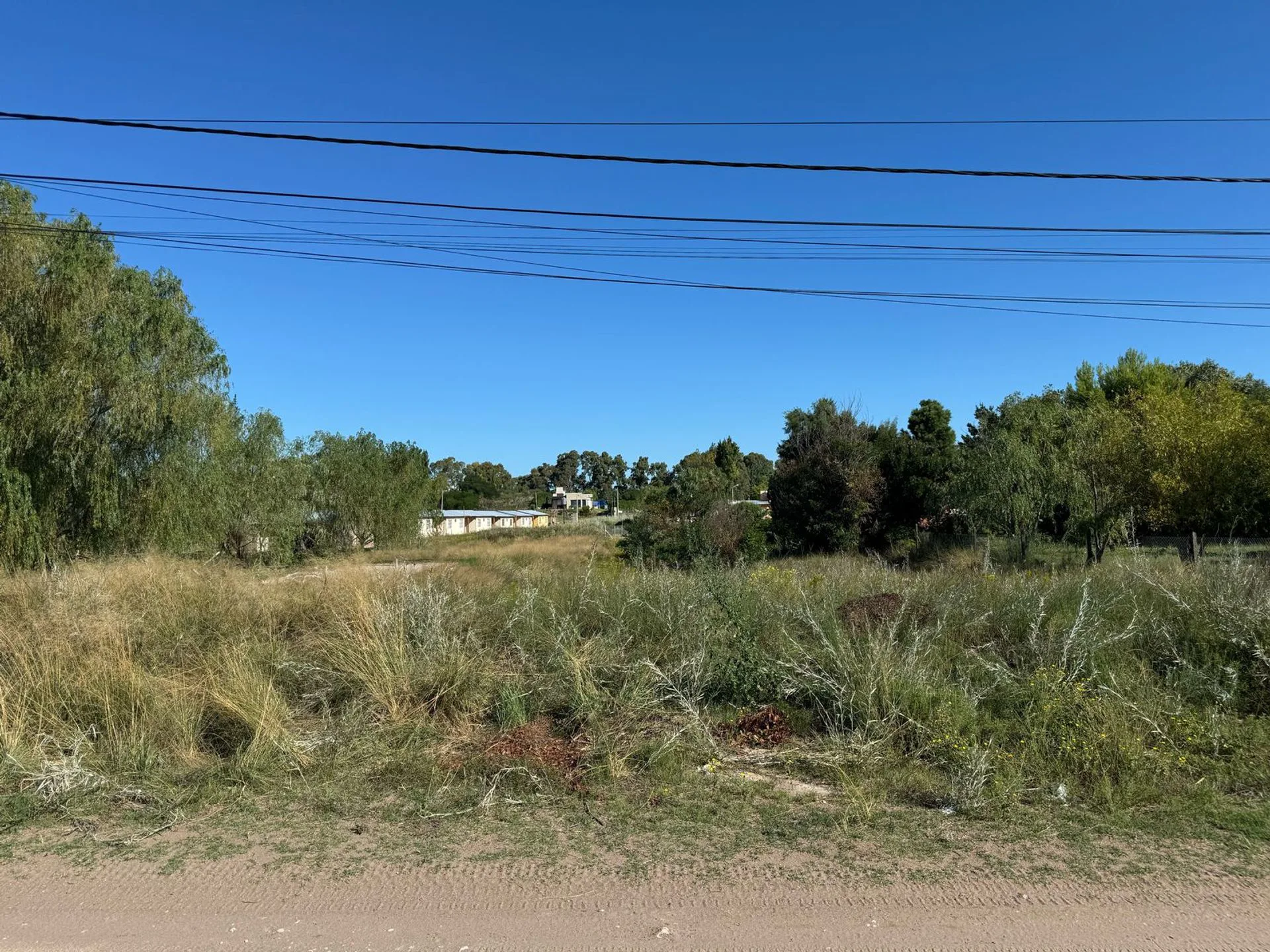 VENTA GRAN LOTE EN PEHUEN CO foto 2