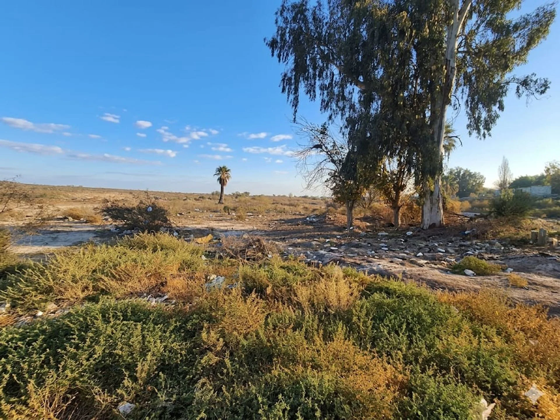 VENTA TERRENO DE 5.3H EN SANTA LUCIA foto 2