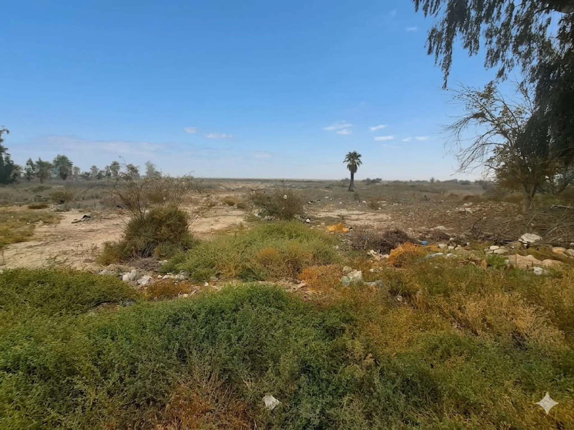 VENTA TERRENO DE 5.3H EN SANTA LUCIA foto 3
