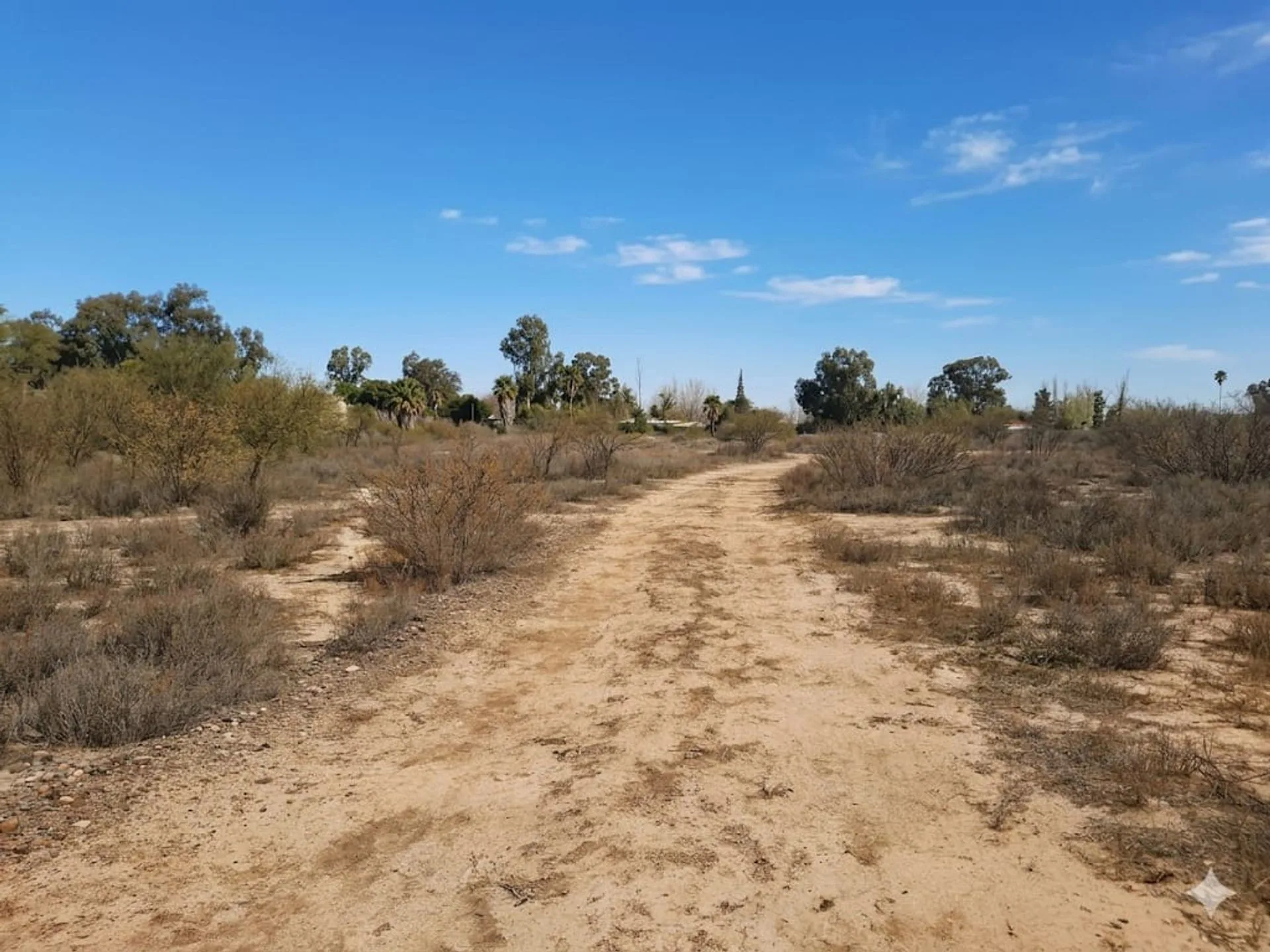 VENTA TERRENO DE 5.3H EN SANTA LUCIA foto 5