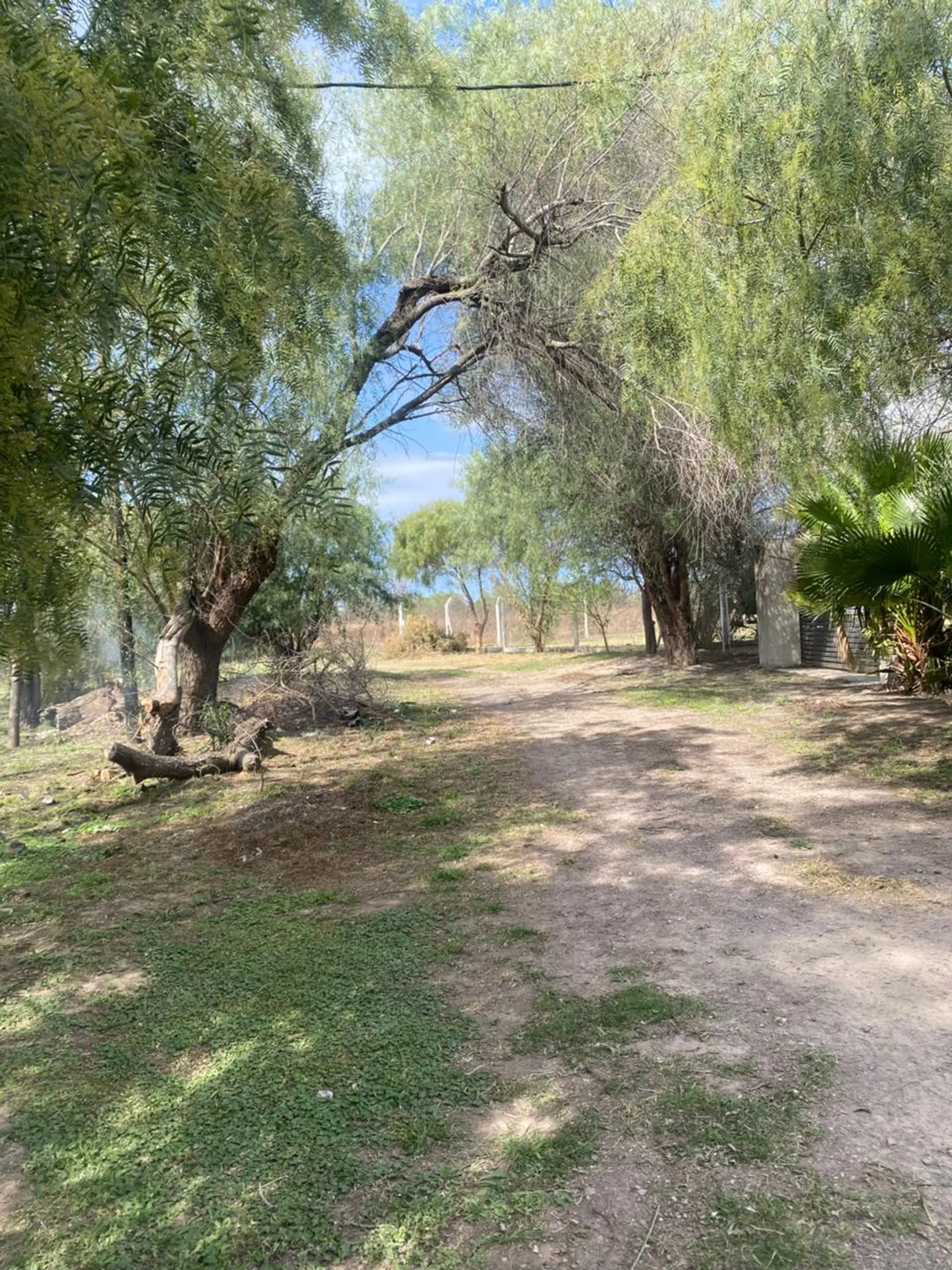 Venta de finca en Maquito Santiago del Estero foto 5