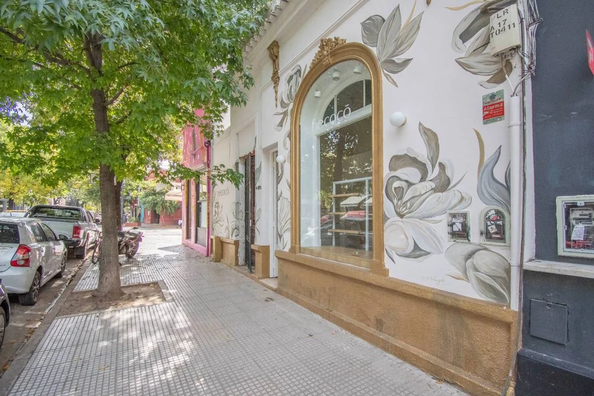 VENTA CASA PALERMO SOHO Y LOCAL 130 M2 TOTALES foto 3