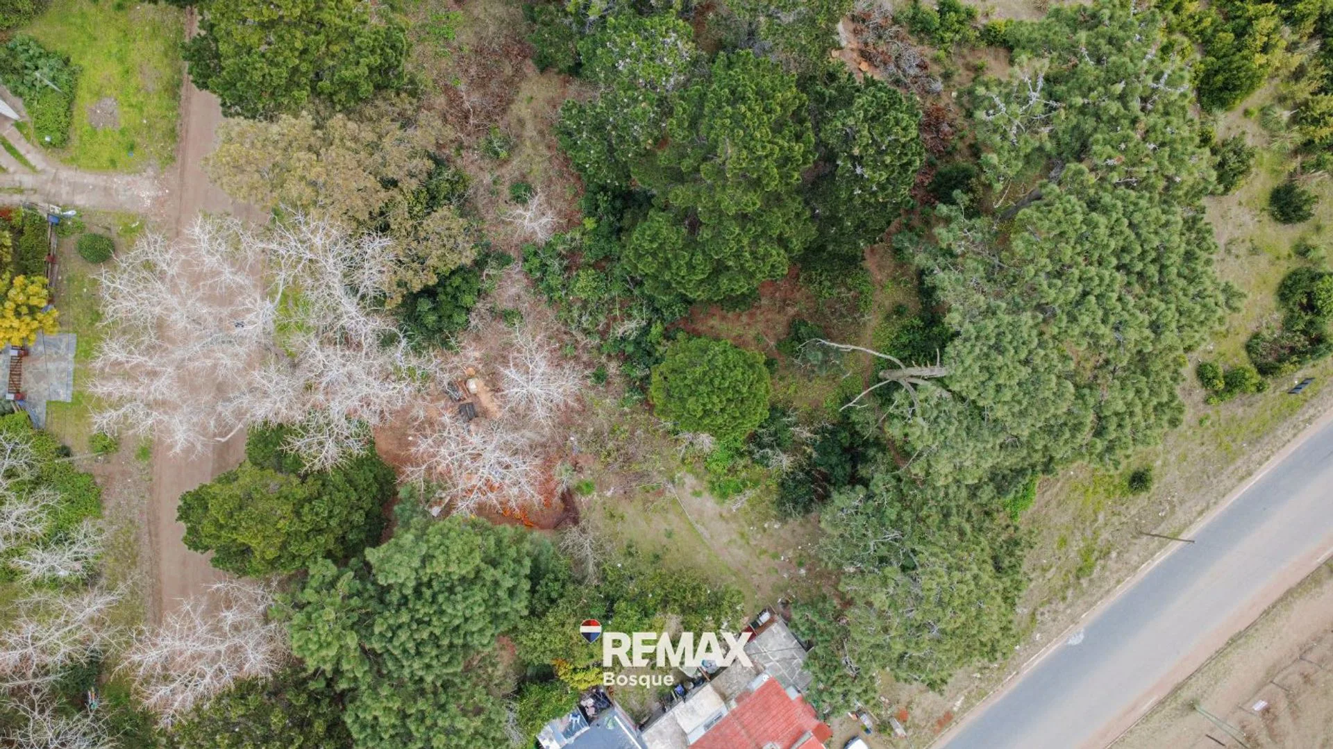 VENTA DE LOTE EN SANTA TERESITA foto 2