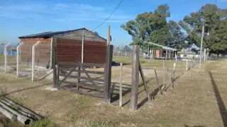 LOTES EN Bº TENIENTE ORIGONE foto 2