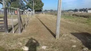 LOTES EN Bº TENIENTE ORIGONE foto 3