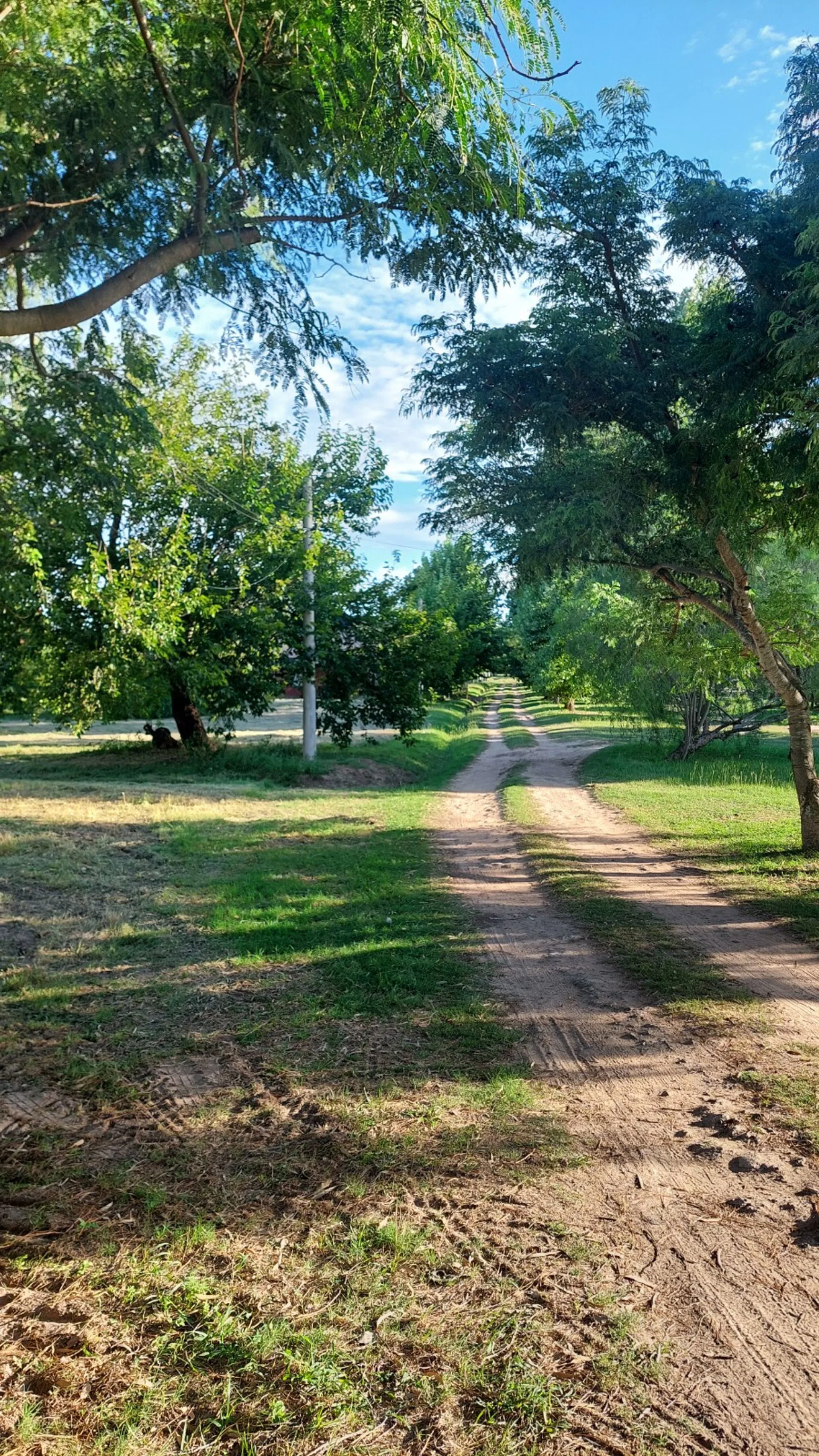 Lote en venta Loteo Fincas del Rio Cayasta foto 3