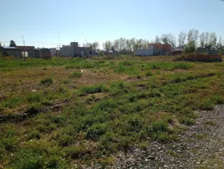Indexa Vende Terreno en Don Mariano foto 4