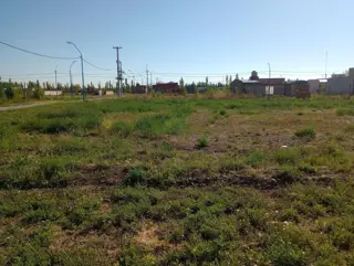 Indexa Vende Terreno en Don Mariano foto 5