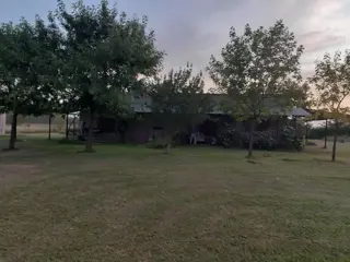 Excelente oportunidad 6 hectáreas en el camino a Lozano foto 1