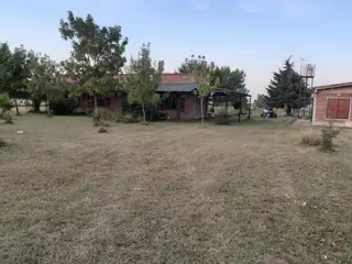 Excelente oportunidad 6 hectáreas en el camino a Lozano foto 3