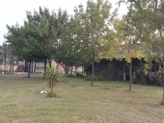 Excelente oportunidad 6 hectáreas en el camino a Lozano foto 4