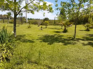 Excelente oportunidad 6 hectáreas en el camino a Lozano foto 5